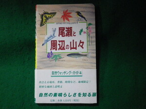 ■尾瀬と周辺の山々　自然ウォッチングガイド　ネイチャーネットワーク企画編集室■FASD2023120805■