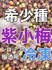 y405 冷凍クール便「冷凍紫小梅」4kg 青梅系　梅シロップ、梅酒、梅ジャム（梅干し不可）和歌山の冷凍梅　キルトパッチ梅店 （12）