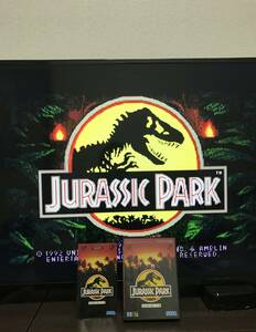 ★起動チェックOK★ジュラシック・パーク JURASSIC PARK 箱説明書あり