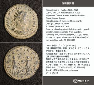 *[令和コイン]プロブス(276-282) 古代ローマコイン アントニニアヌス・ビロン貨【詳細説明カード付！】[G115]