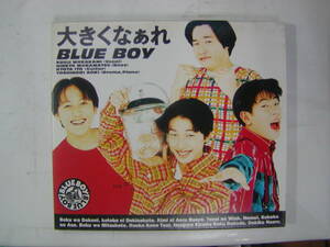 CDアルバム[ BLUE BOY ] 大きくなぁれ 10曲 送料無料