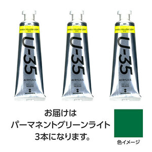 【3本×5セット】 ターナー色彩 U35 パーマネントグリーンライト60ml TURNER108757X5 /l