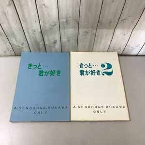 入手困難!レア●スラムダンク SLAM DUNK 同人誌 きっと・・・君が好き 12/セット/仙道彰×流川楓/仙道×流川/仙×流/楓BRAND/小説 ★6773