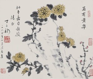 中国画「菊有黄華」作者詳細不明 彩色墨彩画 額装品 中国美術