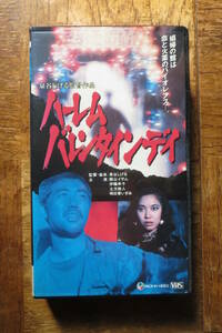 ハーレムバレンタインデイ_VHS_中古