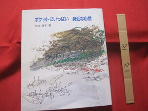 ☆ポケットにいっぱい　　　　　　身近な自然　　　　　　　【沖縄・琉球・文化・生物・動物・植物・昆虫】