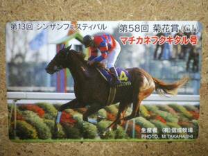 I1776・シンザンフェスティバル マチカネフクキタル 競馬 テレカ