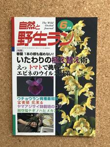 自然と野生ラン 2000年6月号　※ エビネ ウチョウラン 富貴蘭 ヤマアジサイ ※ 園芸JAPAN