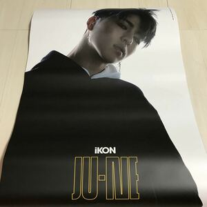 ◇レア！◇iKON 韓国ポップアップストア NEWKIDS 限定ポスター JU-NE ジュネ