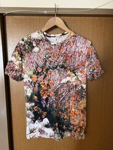 【定価3.8万】新品 CARVEN Tシャツ メンズ Mサイズ モザイク 風景 植物