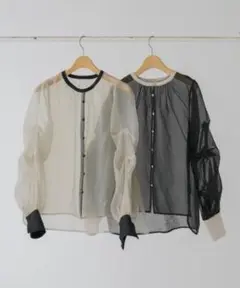 idem / organdy sheer blouse