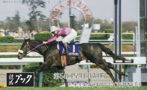 ★ナリタブライアン　南井騎手　競馬ブック★テレカ５０度数未使用un_78