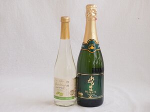 甘味フルーツワイン2本セット(シャインマスカット＆ナイアガラ おたる醸造ナイアガラスパークリング) 500ml×1本 720ml×1本