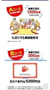  懸賞　応募☆ えらべるPay5000円分各回100名様/ヒガシマル商品詰合せ