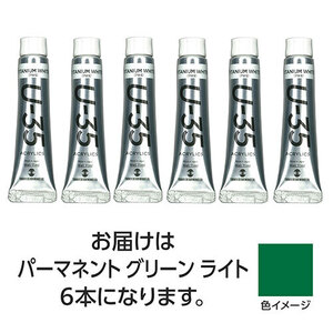 【6本×5セット】 ターナー色彩 U35パーマネントグリーンライト11ml TURNER108858X5 /l