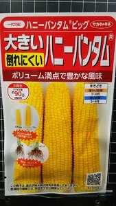 ３袋セット ハニー バンタム ビッグ 倒れにくい コーン トウモロコシ 種 郵便は送料無料