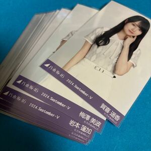 乃木坂46 井上和 生写真 36th制服 チートデイ 30枚まとめ売り 賀喜遥香 岩本蓮加 田村真佑 梅澤美波 林瑠奈 などあり その他もあり