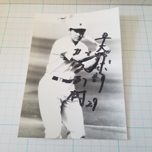 早稲田 大学野球 加藤正樹 直筆サイン 写真 (検)六大学野球 PL学園 高校野球 甲子園 近鉄バファローズブロマイド サインカード BBM 