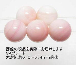 NO.7 クイーンコンクシェルＳＡ 6mm(5粒入り)＜お守り＞色目がキレイ 天然石現品