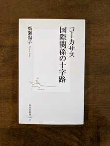 集英社新書　コーカサス　国際関係の十字路　廣瀬陽子