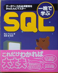 「一晩で学ぶSQL」インプレス