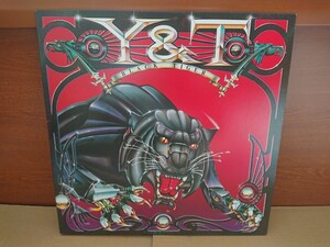 Y & T「BLACK TIGER」