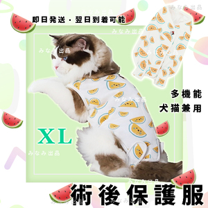 【スイカ柄XL】猫犬 術後服 離乳避妊手術 皮膚保護雌 エリザベスカラー ウェア　　　