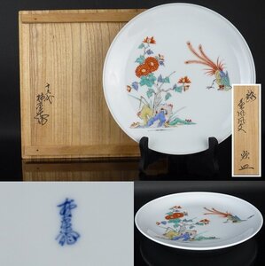 【扇屋】 十三代 酒井田柿右衛門「錦 菊鳳凰文 額皿」共箱 幅 約21.5cm 高さ 約3cm 色絵 花鳥文 飾り皿 有田焼 人間国宝 K-2