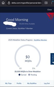 デルタ航空　スカイマイル　105000マイル　DELTA SKYMILES 譲渡　特典航空券