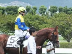 エアスピネルの新馬戦（メイクデビュー阪神）写真Ｌサイズ２枚セット