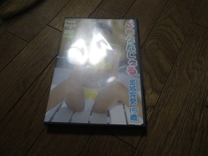 金城完奈 ぷちえんじぇる DVD