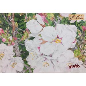 色鉛筆画「 いつか、また… 」Ａ４・額付き◇◆手描き◇原画◆桜◆yotto◇