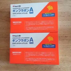 イチョウ葉 抽出物加工食品　ギンフラボン Aプラス ２箱 / サンライフ