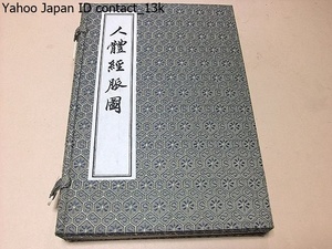 人体經脈図・人體經脈圖・据清康熙年間彩絵本影印/印数500部/折帖/中国語/人体経脈循行的清初古抄彩絵本・内容以十二経和奇計経八脈的循行