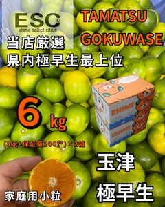 送料込！！ESC愛媛県玉津産極早生みかん小粒家庭用当店最上位希少6㎏（（3kg+保証量200㌘）×2箱）みきゃん箱④