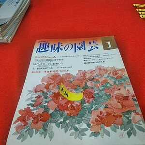 d-608　※0　NHK趣味の園芸　平成１年１月　シンビジュームー大型品種の花を咲かせる　フェンスや壁面を緑で彩るーピラカンサとヘデラ　