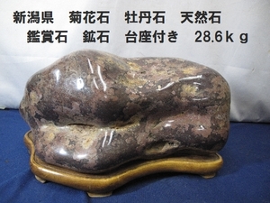 新潟県　菊花石　牡丹石　天然石　鑑賞石　鉱石　台座付き　28.6ｋｇ（3091）置物　自然　天然　石　