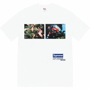 24SS SALE 国内正規品 新品未使用 ジュンヤ コラボ Tシャツ Supreme / JUNYA WATANABE COMME des GARONS MAN small Nature Tee white S 白