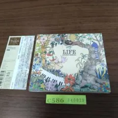 Kenichiro Nishihara / LIFE