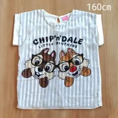 ディズニーTシャツ 夏 160㎝　女の子　半袖　シースルー　チップとデール