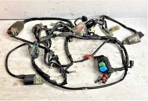 【AF74】ホンダ ダンク ハーネス,電装部品/HONDA DUNK Harness, electrical parts I2303-41