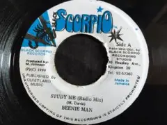 ★Beenie Man / Study Me★Qsjni1★ レゲエ