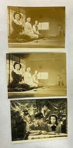 *M1754 映画スチル写真「処女峰」２種類・３枚セット　1950年作品　木村恵吾、轟夕起子、乙羽信子、若山セツ子、根上淳