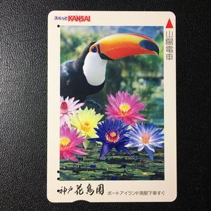 山陽/神戸花鳥園「花鳥」ーエスコートカード(使用済/スルッとKANSAI)