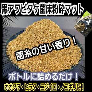 クワガタ幼虫専用　黒アワビタケ菌床粉砕マット　【2袋】瓶に詰めるだけ！すぐ使える！オオクワ・ヒラタ・ニジイロ・ノコギリがよく食べる