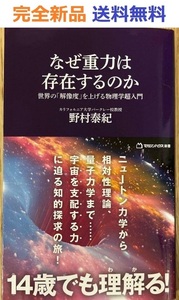 なぜ重力は存在するのか　世界の「解像度」を上げる物理学超入門 野村泰紀