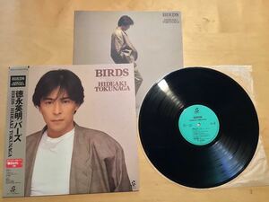 【帯付LP】徳永英明 / BIRDS バーズ (AY28-14) / 和泉一弥 / 川村栄二 / 武部聡志 / 1987年5月盤 / 輝きながら…