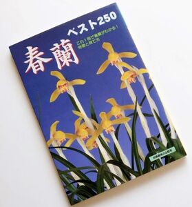 春蘭ベスト250これ1冊で春蘭がわかる花芸柄芸葉芸寒蘭山野草識別幽谷殿天紅香葉芸柄芸縞班覆輪縞班虎班変わり葉花芸紅赤色黄色豆花縞覆輪班