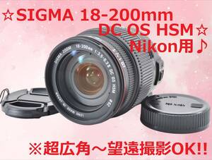 Nikon 用 SIGMA 18-200mm DC OS HSM #5883