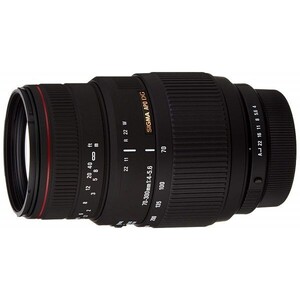 中古 １年保証 美品 SIGMA APO 70-300mm F4-5.6 DG MACRO (キヤノンEF用)